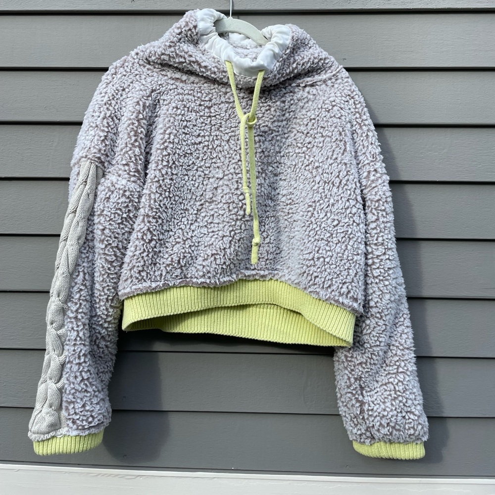 Free People Cropped Sweater with Knit Detailing
